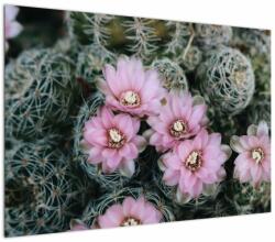 Mivali Tablou floare de cactus, dintr-o bucată 100x70 cm (V021594V10070)