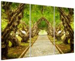 Mivali Tablou - Tunel viu din plumeria, din trei bucăți 120x80 cm (V023164V120803PCS)