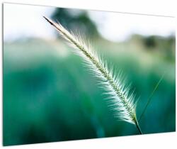 Mivali Tablou cu fir de iarbă, dintr-o bucată 90x60 cm (V020962V9060)