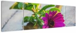 Mivali Tablou flori tăiate, din trei bucăți 170x50 cm (V020291V17050)