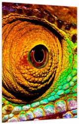 Mivali Tablou - Cameleon, dintr-o bucată 30x40 cm (V023753V3040)