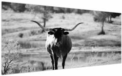 Mivali Tablou - Vacă, alb-negru, dintr-o bucată 200x100 cm (V023978V200100)