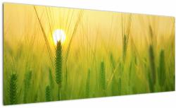 Mivali Tablou - Câmp cu cereale, dintr-o bucată 100x40 cm (V022545V10040)