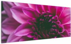 Mivali Tablou cu floarea roz, dintr-o bucată 120x50 cm (V020010V12050)