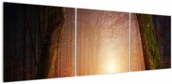 Mivali Tablou cu pădurea toamna în ceață, din trei bucăți 150x50 cm (V020013V15050)