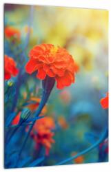 Mivali Tablou - Flori portocalii, dintr-o bucată 30x40 cm (V022359V3040)