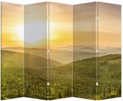 Mivali Paravan - Panorama, din 5 bucăți, 210x170 cm (P021002P225180)