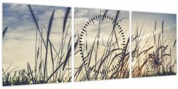 Mivali Tablou cu flori de câmp (cu ceas), din trei bucăți 90x30 cm cu ceas (V021185V9030C)