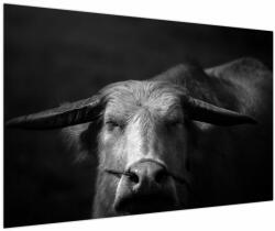 Mivali Tablou - Vacă, dintr-o bucată 120x80 cm (V023917V12080)