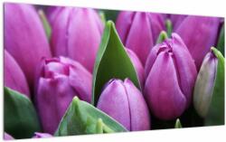 Mivali Tablou pe sticlă - florile lalelelor, dintr-o bucată 100x50 cm pe sticlă (V020194V10050GD)