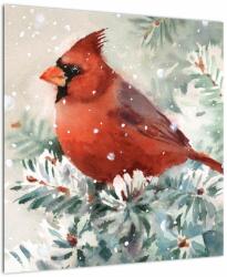 Mivali Tablou - Cardinal, dintr-o bucată 50x50 cm (V023155V5050)