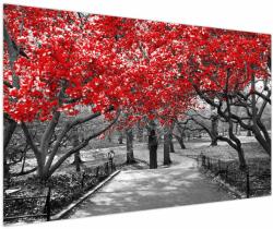 Mivali Tablou - Copaci roșii, Central Park, New York, dintr-o bucată 150x100 cm (V023117V150100)