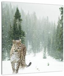 Mivali Tablou pe sticlă cu leopard în zăpadă, dintr-o bucată 40x40 cm pe sticlă (V020880V4040GD)
