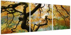 Mivali Tablou - Arțarul japonez galben, Portland, Oregon, din trei bucăți 120x40 cm (V023676V12040)
