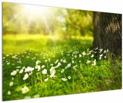 Mivali Tablou cu poiana și flori, dintr-o bucată 120x80 cm (V020842V12080)