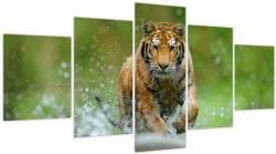 Mivali Tablou - Tigru care aleargă, din cinci bucăți 150x80 cm (V023886V150805PCS)