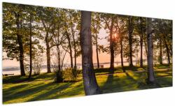 Mivali Tablou cu pomi lângă lac, dintr-o bucată 250x125 cm (V020839V250125)