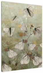 Mivali Tablou - Vintege fluturi, dintr-o bucată 50x70 cm (V022876V5070)