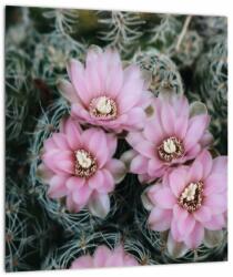 Mivali Tablou pe sticlă floare de cactus, dintr-o bucată 30x30 cm pe sticlă (V021594V3030GD)