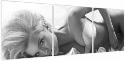 Mivali Tablou - Boudoir alb-negru, din trei bucăți 120x40 cm (V023671V12040)