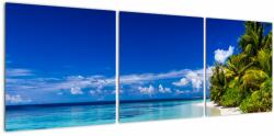 Mivali Tablou - Plaja tropicală, din trei bucăți 120x40 cm (V023215V12040)