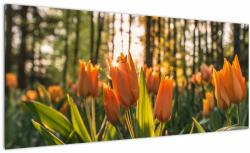 Mivali Tablou - lalele potocalii, dintr-o bucată 100x40 cm (V020552V10040)