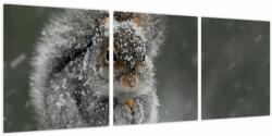 Mivali Tablou - Veveriță iarna, din trei bucăți 90x30 cm (V023818V9030)