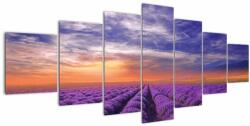 Mivali Tablou câmpului cu lavandă, din șapte bucăți 210x100 cm (V022159V210100)