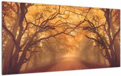 Mivali Tablou pe sticlă - Peisaj de toamnă cu drum, dintr-o bucată 100x50 cm pe sticlă (V022751V10050GD)