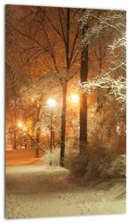Mivali Tablou - Parcul înzăpezit, dintr-o bucată 20x30 cm (V023261V2030)