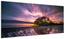 Mivali Tablou cu plajă în apus de soare, dintr-o bucată 100x40 cm (V021238V10040)