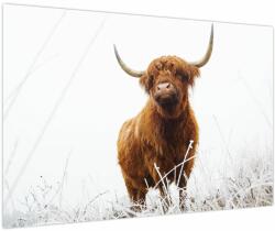 Mivali Tablou - Vacă scoțiană, dintr-o bucată 90x60 cm (V023936V9060)