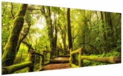 Mivali Tablou junglei cu mușchi, dintr-o bucată 200x100 cm (V022161V200100)