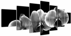 Mivali Tablou floare de orhidee, din șapte bucăți 210x100 cm (V022015V210100)