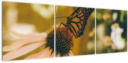 Mivali Tablou cu fluture pe floare, din trei bucăți 120x40 cm (V021201V12040)