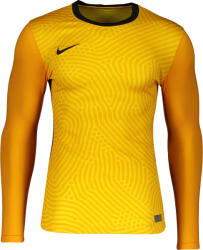 Nike Bluza cu maneca lunga Nike M NK PROMO GK LS JSY ci1039-719 Marime S (ci1039-719)