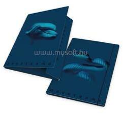 Pigna Monocromo Blue A4 karton gumis mappa (P2110-0200) (P2110-0200)