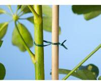 NATURE kötöződrót vágószerkezettel, 100m (6040457) (10000686)