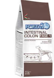 FORZA10 Active Line Dog 10kg Forza 10 Active Line Intestinal Colon Phase 1 száraz kutyatáp