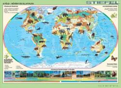 Stiefel A Föld állatai - kisméretű falitérkép (37077FLH)