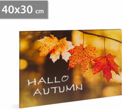 Family LED-es fali hangulatkép - "Hello ősz" - 2 x AA, 40 x 30 cm Family 58502 (58502) - globalsales