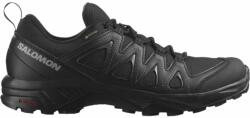 Salomon X Braze GTX , Negru , 45 1/3