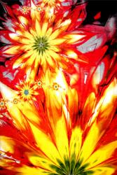Delta Carpet Covor Dreptunghiular, 200 x 300 cm, Multicolor, Flower, Kolibri 11012-150 (KOLIBRI-11012-150-23)