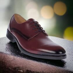 Lucianis style Pantofi barbati, eleganti, piele naturala, Bordeaux, ALEXANDER 990VIS (ROME990VIS)