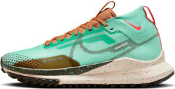 Nike Pegasus Trail 4 GORE-TEX Terepfutó cipők dj7929-301 Méret 40 EU