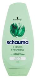 Schwarzkopf Schauma 7 Herbs Freshness Conditioner balsam de păr 250 ml pentru femei