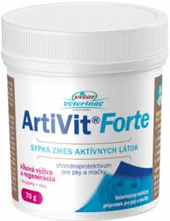  VITAR Vitar Veterinary ArtiVit Forte 70 g