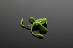  LIBRA LURES Libra Lures Pro Nymph Olive 18mm/Cheese