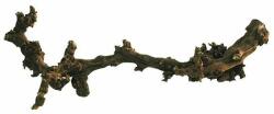 LUCKY REPTILE Decor terariu - Dark Grapevine 30 - 45cm