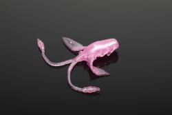 LIBRA LURES Libra Lures Pro Nymph Pink Pearl 18mm/Cheese
